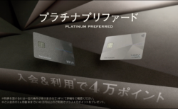 三井住友Visa プラチナプリファードを4ヶ月使ってみた感想